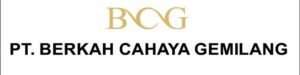 Logo Sponsor